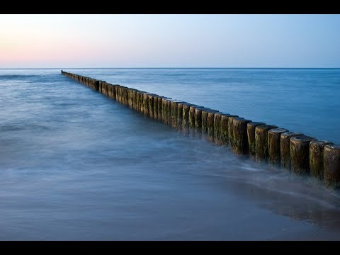 Puiu Chibici - Calea Ingusta