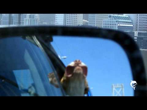 Abraham: The Purpose of Physical Death?