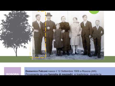 Anteprima: Pietre della Memoria - Il segno della storia