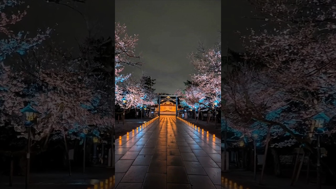 夜桜　靖国神社・千鳥ヶ淵・和田倉門　Night Sakura: Yasukuni Shrine, Chidorigafuchi & Wadakuramon