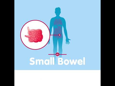 Voiceovers YouTube video thumbnail - NHS - What Can I Donate
