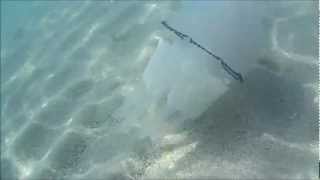 preview picture of video '19 agosto 2012 Medusa in località Simeri Mare (CZ) - Calabria'