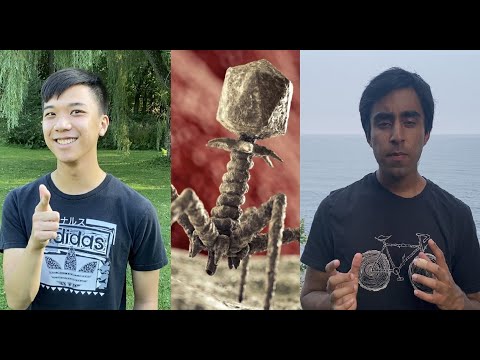 'Infecting' Ourselves With Viruses To Stop Mutant Bacteria (Veritasium SciComm Contest Submission)