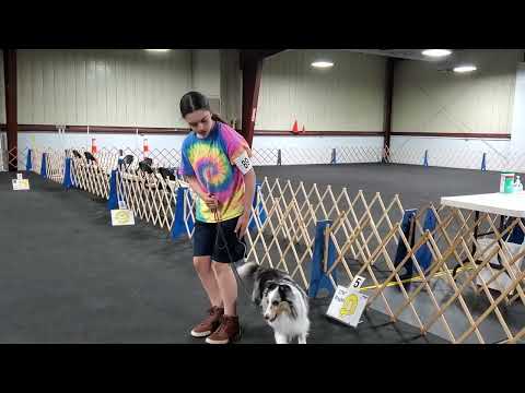 Kaylin Rally Intermediate