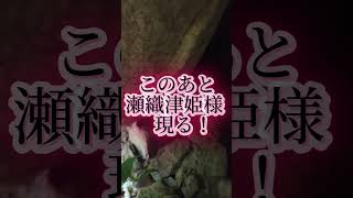 六甲比命神社　瀬織津姫様現る！ #神社