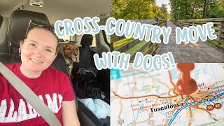 Moving Across the Country with Dogs!