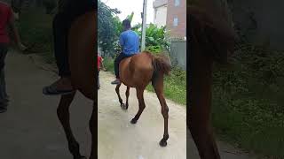 Download lagu #motivation #song #dancemusic mp3