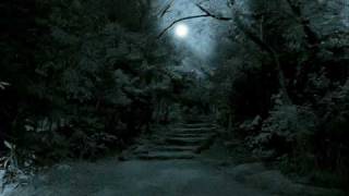 Midnight Syndicate - Black Woods