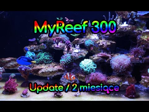 (117) MyReef 300 / Update / 2 months - Marine aquarium - Reef aquarium