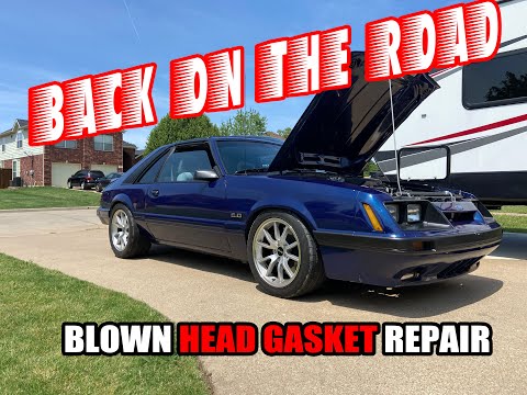 Alive and better than ever! - Blown Head Gasket Fix