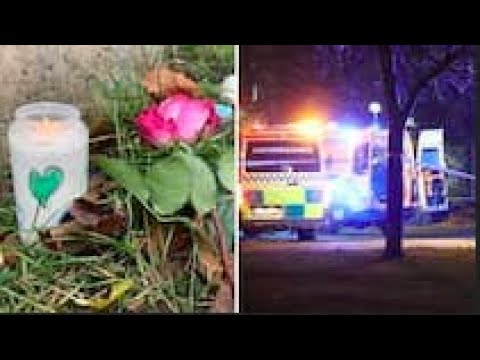 Grannarna i Hässelby i sorg • Yngsta barnet har avlidit – pappan anhållen