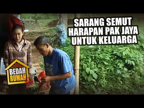BEDAH RUMAH EPISODE 72 - Sarang Semut Harapan Pak Jaya Untuk Keluarga
