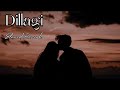 Dillagi Slowed And Reverb Version Rahat Fateh