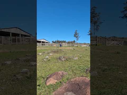 Propriedade rural com 106,5ha em Barão do Triunfo/RS.