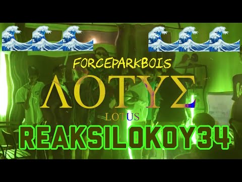 REAKSILOKOY34 - Lotus [FORCEPARKBOIS]