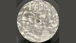 Trailmix - Tequila Sunset