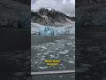 Dawes Glacier/Endicott Arm Fjord Excursion Alaska from Carnival Spirit #cruise #travel #alaska