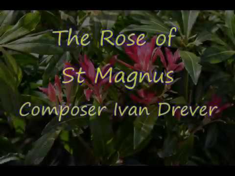 The Rose of St Magnus