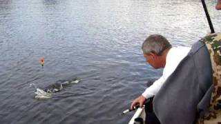 preview picture of video 'Hechtfischen ,River Shannon, Irland'