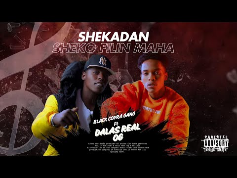 DALAS R.O.G FT BLACK COPRA GANG | SHEEKO FILM OFFICIAL MUSIC VIDEO 2025