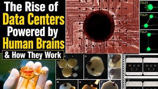 Download lagu The Rise of Data Centers Powered by Human Brains & How They Work mp3 Download lagu The Rise of Data Centers Powered by Human Brains & How They Work mp3