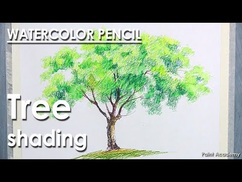 Mountains and Pine Tress Watercolor Pencil Landscape Drawing | steps to follow