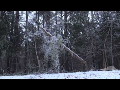 1-16-22 Clinton, SC - Ice Accumulation - Heavy Snow - Plowing - Traffic Flowing on I-26