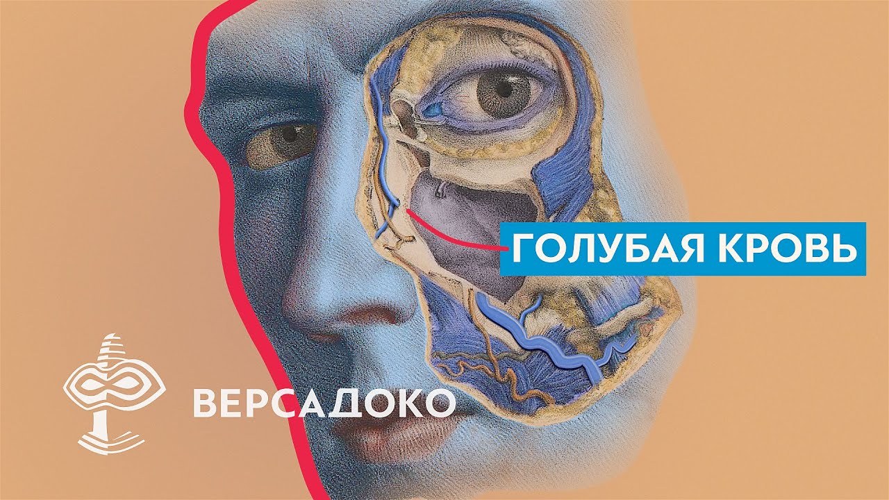 Голубая кровь
