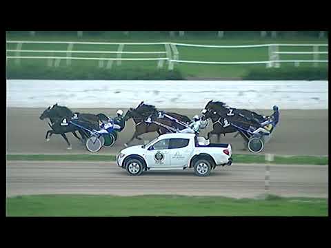 Trotto 01/12/2020 - 5ª corsa