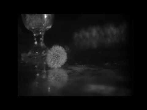 Leffe presents The Quay Brothers Tempus Fugit