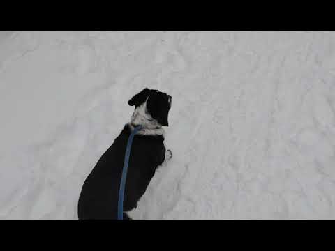 Videosample LG Velvet 5G