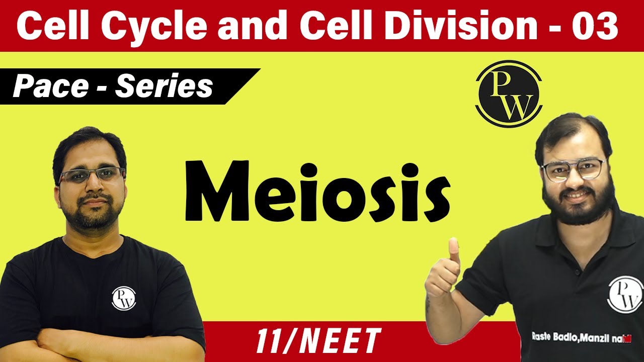 Cell cycle and cell division 03 -  Meiosis | Class 11 | CBSE | NCERT | NEET