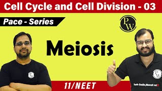 Cell cycle and cell division 03 -  Meiosis | Class 11 | CBSE | NCERT | NEET