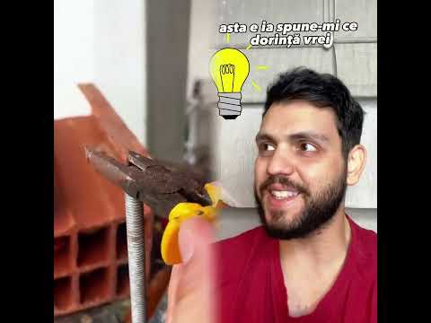 Aventură a sufletului#troleazaplictise #funny #comedy #viata #amuzant #video #reactie #entertainment