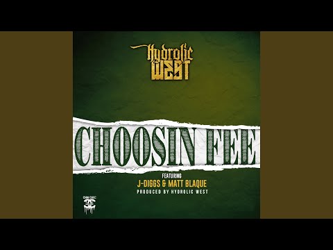 Choosin' Fee (feat. J-Diggs & Matt Blaque)