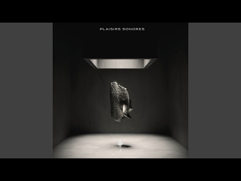 Voyage (Cristoph Remix)