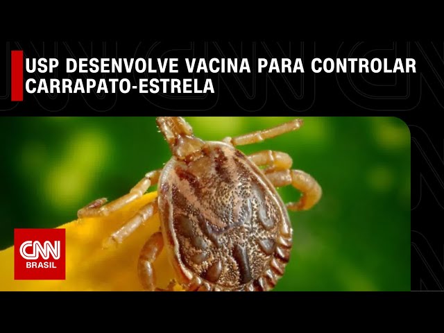 sddefault Ranking coloca USP como melhor universidade da América Latina e entre top 100 do mundo