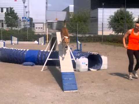 Ramu ja Maiju agsaa 1.6.2013