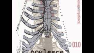 Coalesce-A Disgust for Details