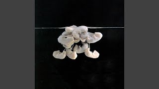 Sad Loved Girl (Acoustic Version)