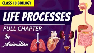 life processes class 10 science biology (Animated video) | 10th CBSE | ncert #science | Chapter 6