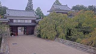 Ueda · UCV Ueda Castle Ruins Park Yaguramon Senbonzakura 1st Live Camera (Ninomaru, Nagano Prefecture) live stream
