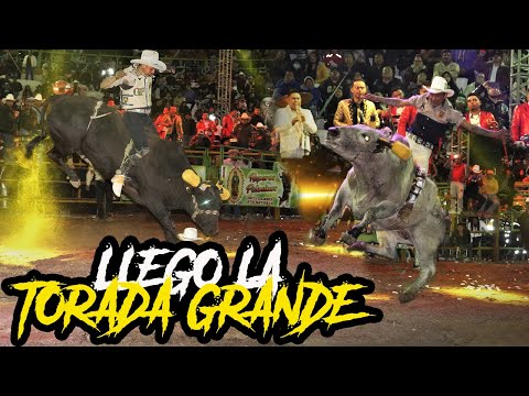 TOROS CONTUNDENTES!!! PRESENTO RANCHO EL TREBOL/GALLO DE ACATLIPA AL QUE LE PONGAN