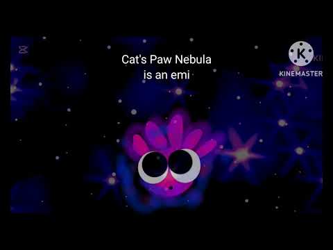 Meet A Nebula Part 4 Prediction