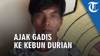 Pemuda Ajak Gadis 8 Tahun Jaga Kebun Durian Ternyata Malah Diperkosa di Tengah Hutan