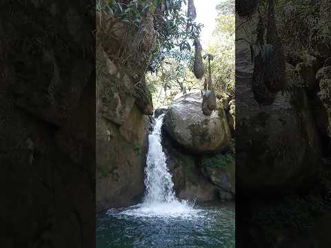 La Huella del Ciervo Cascada 🏞️🦌Vereda Divino Niño - Yarumal Antioquia 🇨🇴