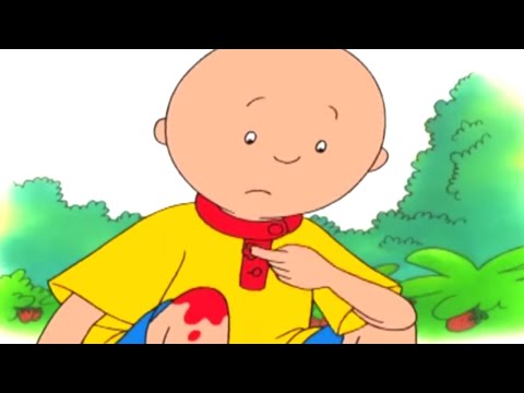 Caillou en Español | Dibujos Infantiles | Aventuras de Caillou COMPILATION | Capitulos Completos