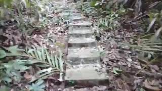 Download lagu menuju curug Cikajayaan Sancang Garut Selatan mp3 Download lagu menuju curug Cikajayaan Sancang Garut Selatan mp3