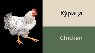 Download lagu Names of birds and insects in Russian // Russian vocabulary for beginners mp3 Download lagu Names of birds and insects in Russian // Russian vocabulary for beginners mp3