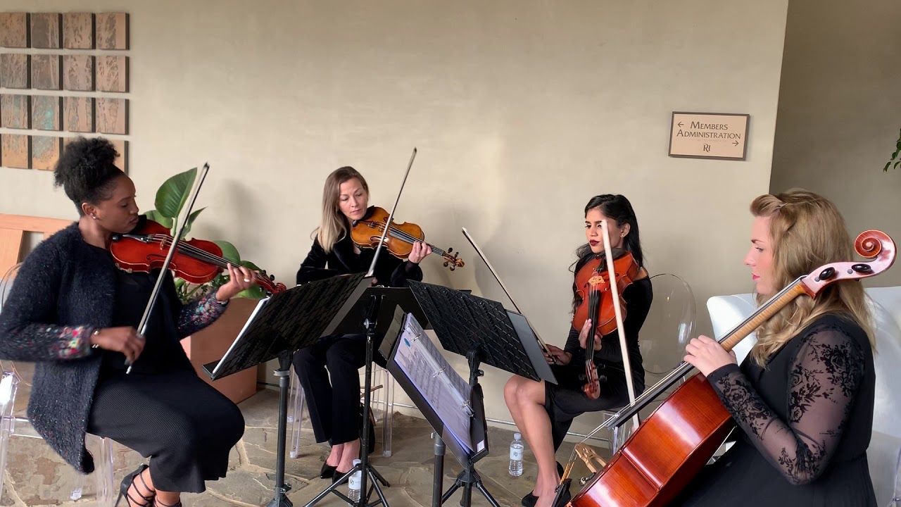 Hire Strings Attached Entertainment Violinist in Dana Point, California